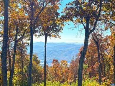 362 Pedlars Edge Dr, Wintergreen Resort, VA 22967 - photo 2