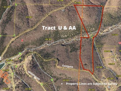 Table Rock Lake Acreage