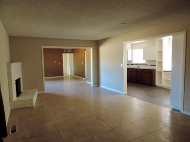 Fireplace on the left and kitchen on the right. Ha