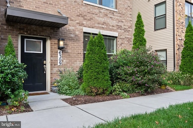 4309 La Plata Ave, Baltimore, MD 21211 - photo 2