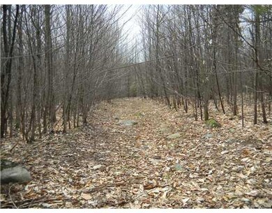 Land. Old logging road