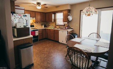 769 Dunny Ave, Sheffield Lake, OH 44054 - photo 7