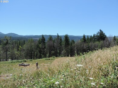 314 Thistledown Ln unit Lot 4, Gates, OR 97346 - photo 6