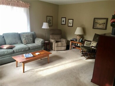 1032 Kevin Dr, Akron, OH 44313 - photo 4