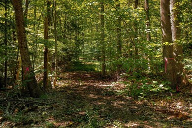 00 Turtle Rock Rd, Stoddard, NH 03464 - photo 4