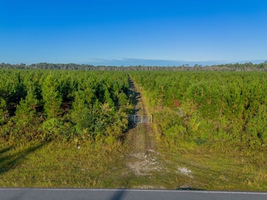 0 Anita St, Waycross, GA 31503 - photo 5