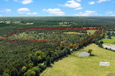 TBD Farm To Market 1798 E, Mount Enterprise, TX 75681 - photo 3