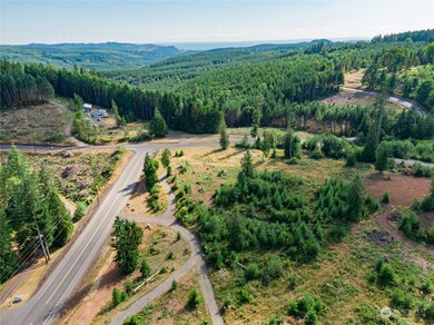 0 Lot 8 S Silver Lake Rd, Castle Rock, WA 98611 - photo 7