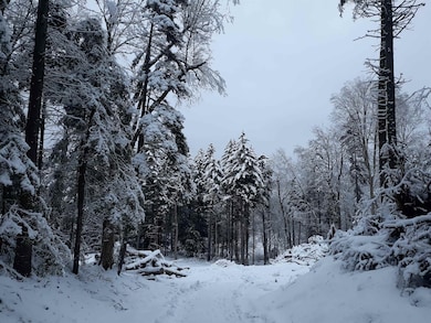 1304 Vermont Route 100 unit Lot 4 - riverfront, Readsboro, VT 05350 - photo 4