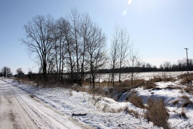 IMG_3903 11111