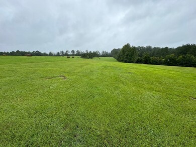 Field on left of drive