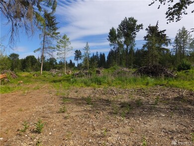 28TH 28th Ave NW, Stanwood, WA 98292 - photo 3