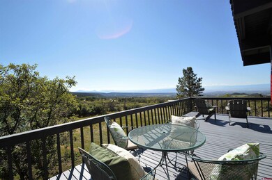 21939 & 21951 2225 Rd, Cedaredge, CO 81413 - photo 7