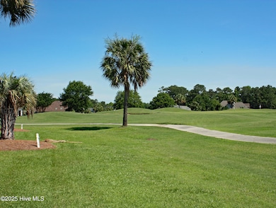 6964 Rosebury Ct SW, Shallotte, NC 28469 - photo 4