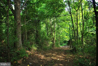 0 Withers Mill Rd unit 1002243054, Huntly, VA 22640 - photo 3