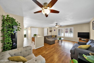 Living / Dining