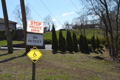 Lot 3 Plateau Ln, Kimberling City, MO 65686 - photo 3