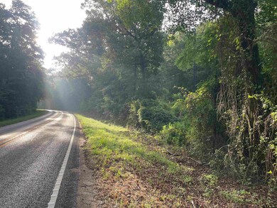 TBD Fm 16, Winona, TX 75792 - photo 5