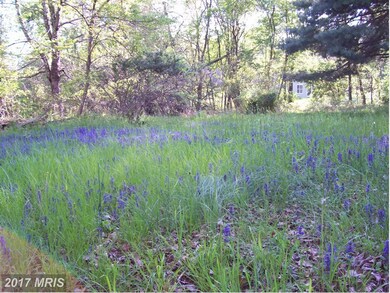 35321 Snake Hill Rd, Middleburg, VA 20117 - photo 4