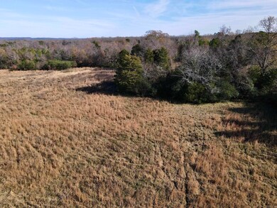 000 Mount Pisgah Rd, Springfield, AR 72157 - photo 3