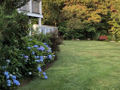 Spacious yard