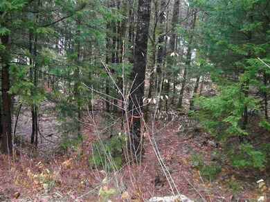 00 Lot 26 Summit View Dr, Tamworth, NH 03886 - photo 4