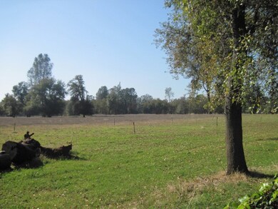 Views of the Adjacent Ranch