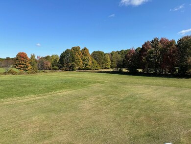 180 Beartown back yard