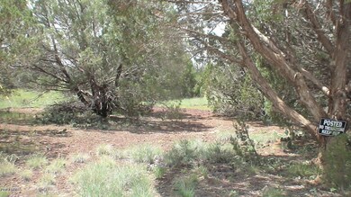 .24 acre
