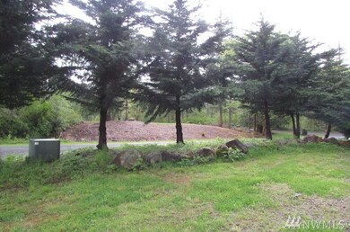 29311 SE 374th St, Enumclaw, WA 98022 - photo 5