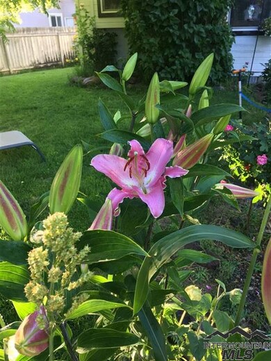 429 Morning Sun Dr, Nampa, ID 83686 - photo 3