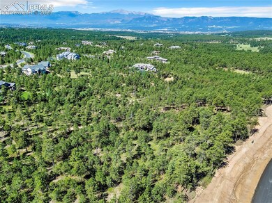 14371 Allen Ranch Rd, Black Forest, CO 80908 - photo 6