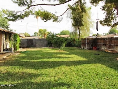 BACKYARD WITH FRUIT TREES