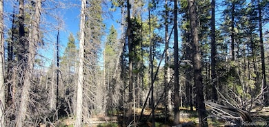 Lot 2999 & 2998 Drexler Place unit 2998,2999, Sangre de Cri, CO 81133 - photo 6