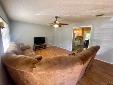 10221 Rolling Pines Dr, Tyler, TX 75707 - photo 2