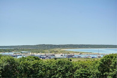 100 Beach Plum Ln, Chilmark, MA 02535 - photo 2