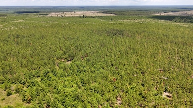 0 Beaver Dam Rd unit 25030820, Cassatt, SC 29032 - photo 4