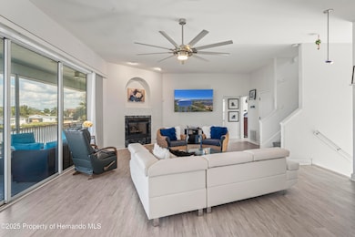 3459 Flamingo Blvd, Hernando Beach, FL 34607 - photo 7