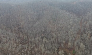 0 Rolling Hills Rd unit RTC3061232, Lobelville, TN 37097 - photo 3