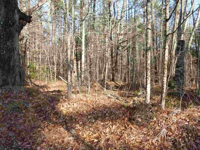 38 Peacham Rd, Center Barnstead, NH 03225 - photo 3