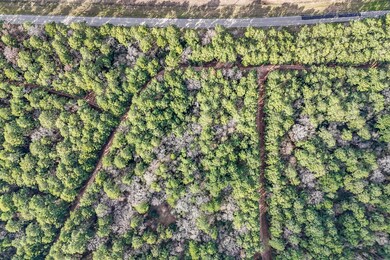 0 E Hickory Bow Ln unit 69902885, Waller, TX 77445 - photo 2