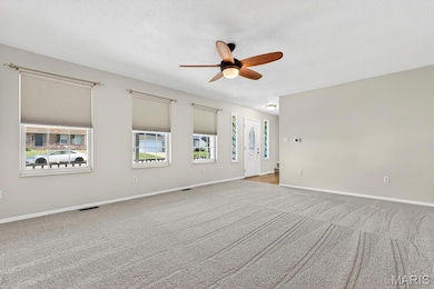 171 Picketts Run, O Fallon, IL 62269 - photo 6