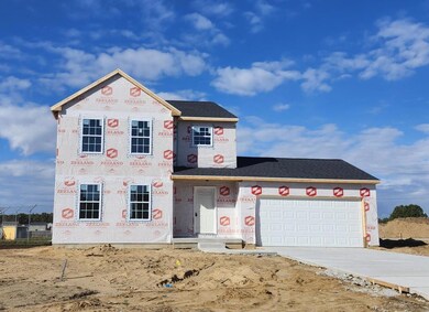 58640 Swenson St, Mattawan, MI 49071 - photo 2