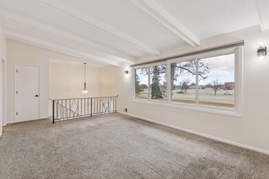 350 Sanburnol Dr NE, Minneapolis, MN 55432 - photo 4