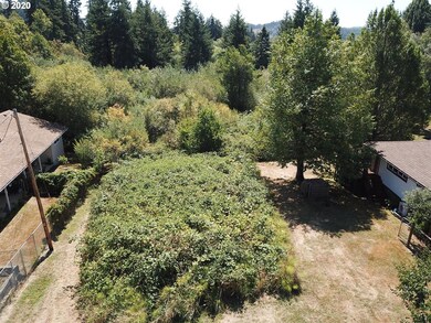 unlisted-address, Myrtle Point, OR 97458 - photo 5