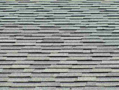 1105 Edna St, Medical Lake, WA 99022 - photo 7