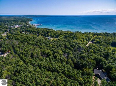 0 N Vincer Way unit 1 1878399, Northport, MI 49670 - photo 6