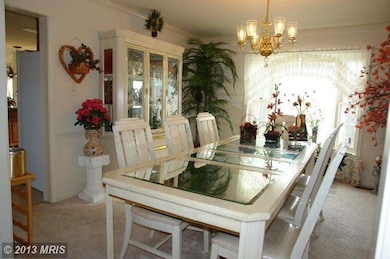 13571 Smallwood Ln, Chantilly, VA 20151 - photo 6