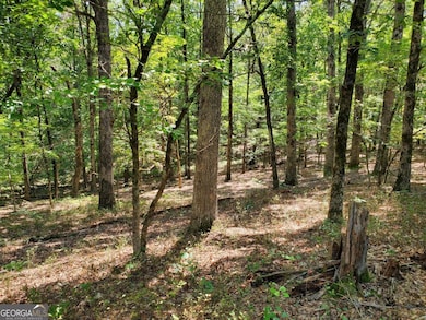 0 Asbury Mill Rd unit 10599324, Cleveland, GA 30528 - photo 3