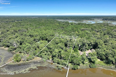106 Barnaby Bluff, Seabrook, SC 29940 - photo 2